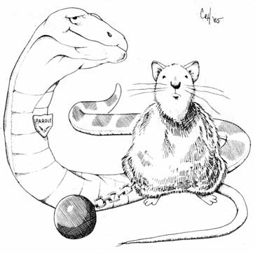 country tales of snakes, rats, dogs, and cats